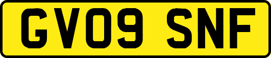 GV09SNF