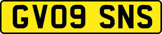 GV09SNS