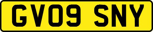 GV09SNY