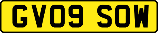 GV09SOW
