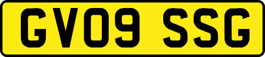 GV09SSG