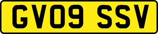GV09SSV