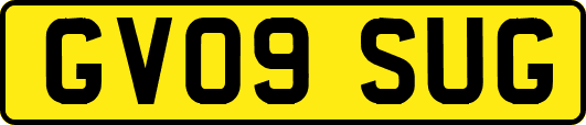 GV09SUG