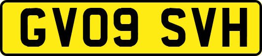 GV09SVH