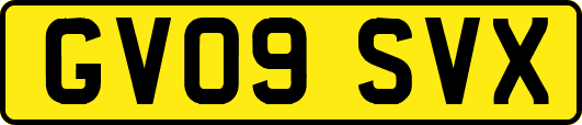 GV09SVX