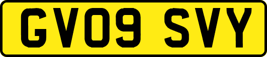 GV09SVY