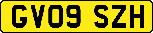 GV09SZH