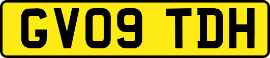 GV09TDH