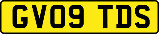 GV09TDS