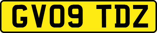 GV09TDZ