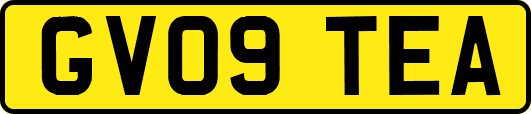 GV09TEA