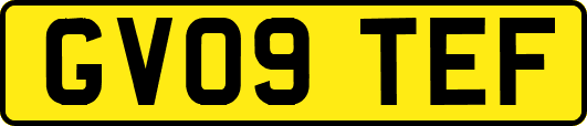GV09TEF