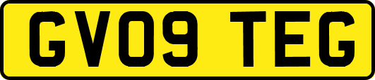 GV09TEG