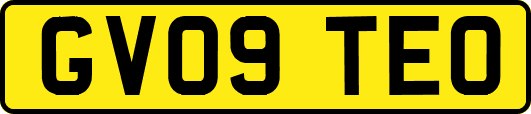 GV09TEO