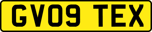 GV09TEX