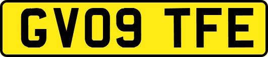 GV09TFE