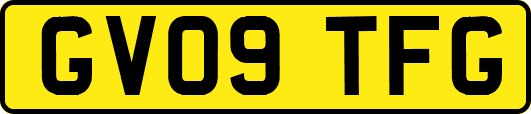 GV09TFG