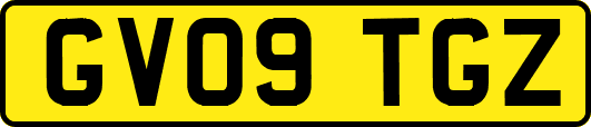 GV09TGZ