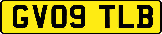 GV09TLB