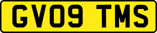 GV09TMS