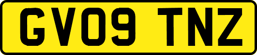 GV09TNZ