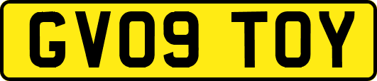 GV09TOY