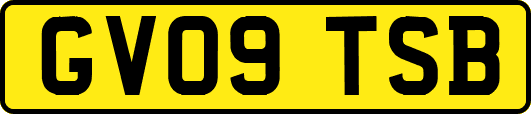 GV09TSB