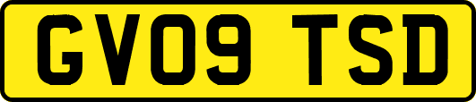 GV09TSD