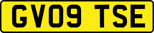 GV09TSE