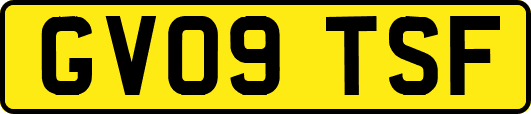 GV09TSF