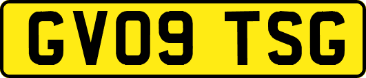 GV09TSG