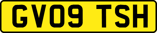 GV09TSH