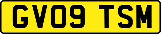 GV09TSM