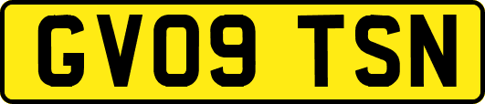 GV09TSN