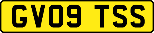GV09TSS