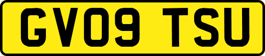 GV09TSU