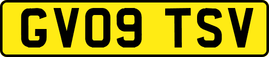 GV09TSV