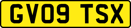 GV09TSX