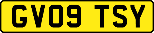 GV09TSY