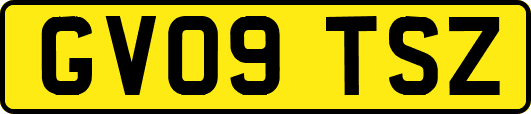 GV09TSZ
