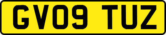 GV09TUZ