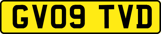 GV09TVD