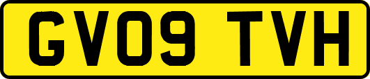 GV09TVH