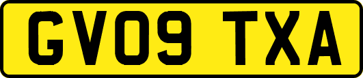 GV09TXA