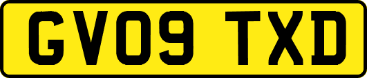 GV09TXD