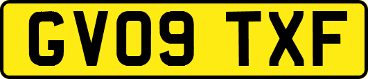 GV09TXF