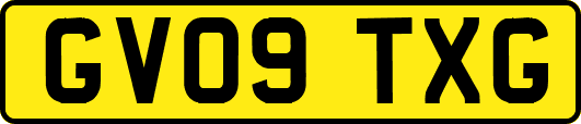 GV09TXG