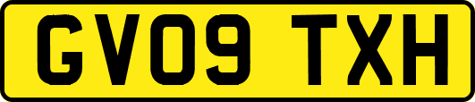 GV09TXH