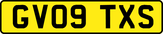 GV09TXS