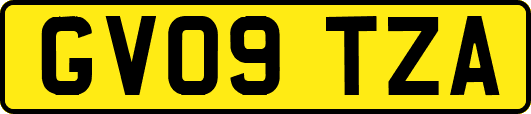 GV09TZA